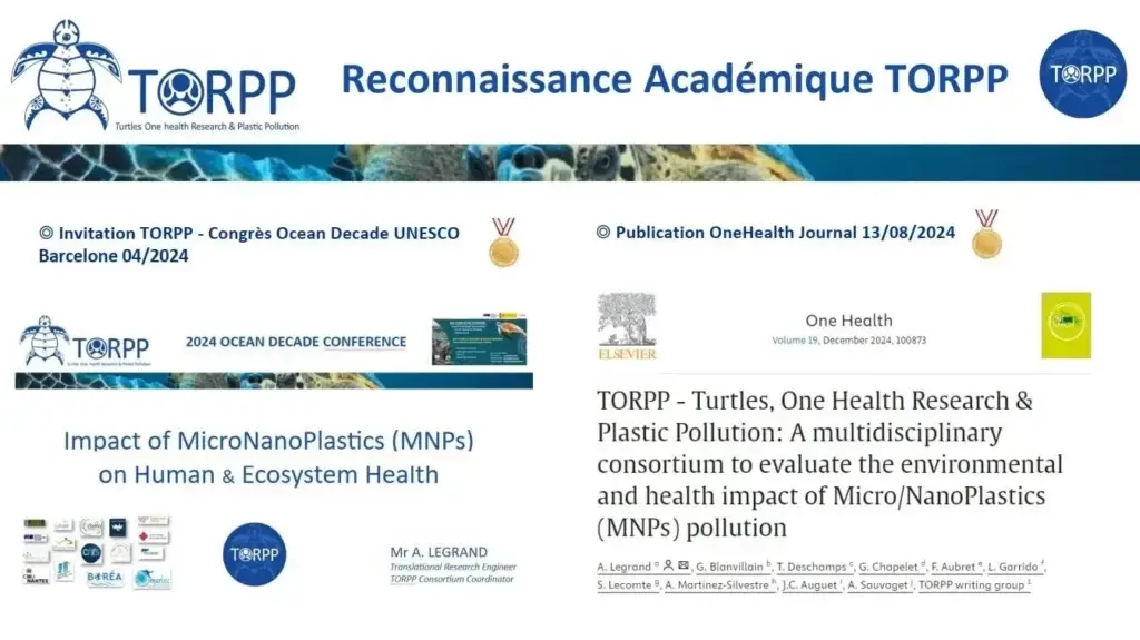 Infographie sur la reconnaissance académique de TORPP