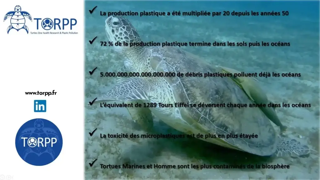 Infographie avec en fond une image de tortue marine sur les chiffres de la pollution plastique