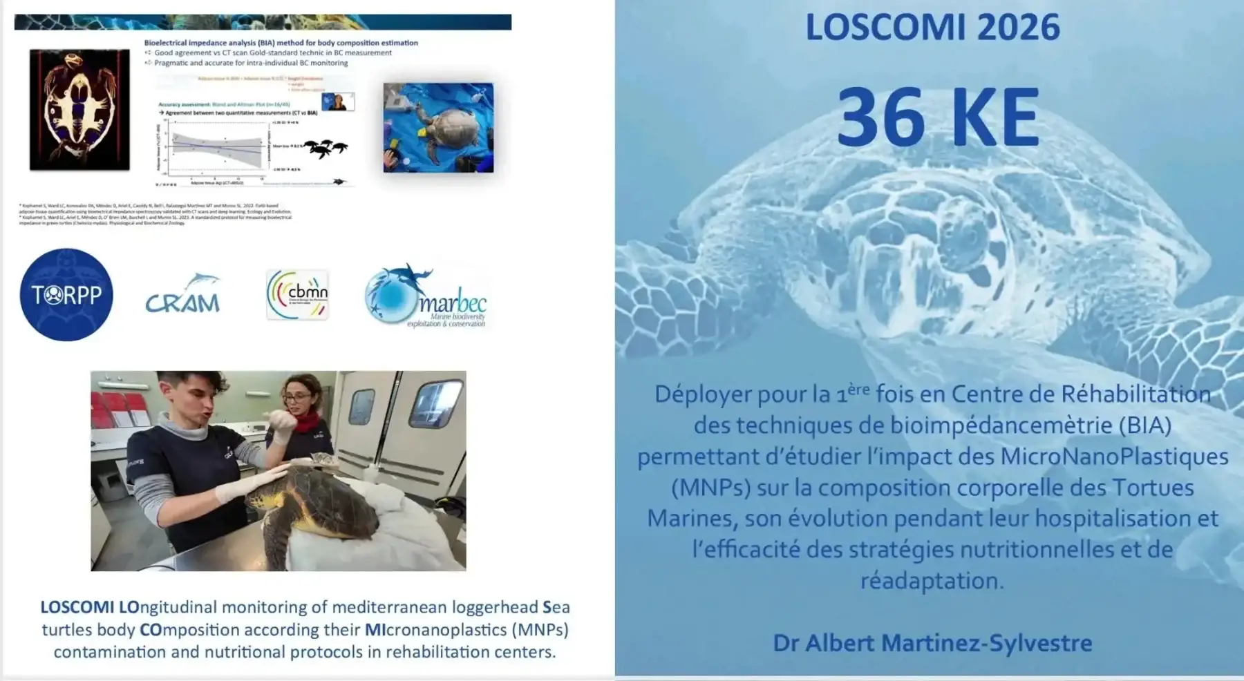 Infographie du projet Loscomi sur la corrélation entre microbiote intestinal et micro et nano plastiques