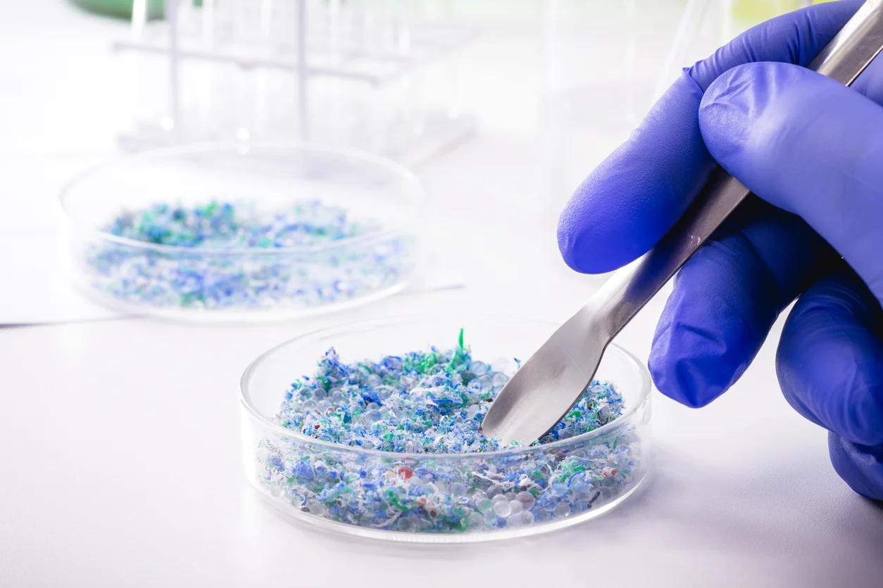 Scientifique entrain de trier des polluants microplastiques dans une boite de pétri