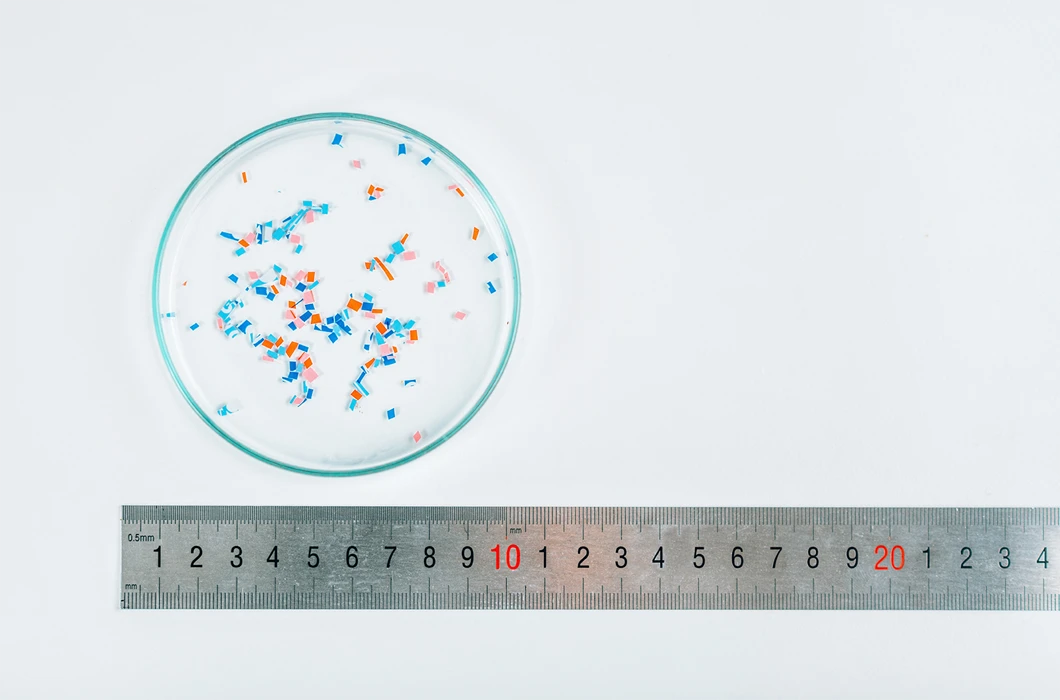 Microplastiques dans boite de pétri avec une régle montrant la taille des particules