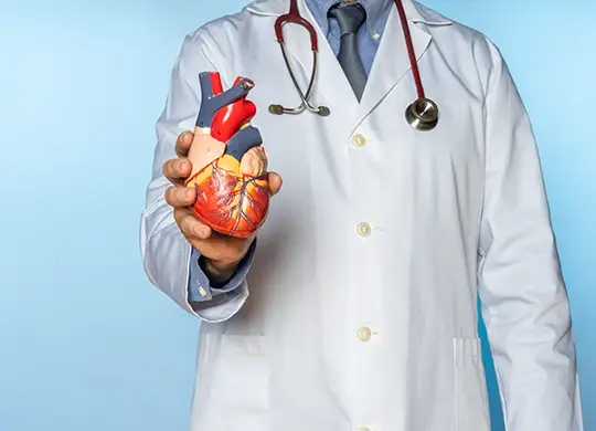 médecin sur fond bleu tenant une maquette du cœur dans la main