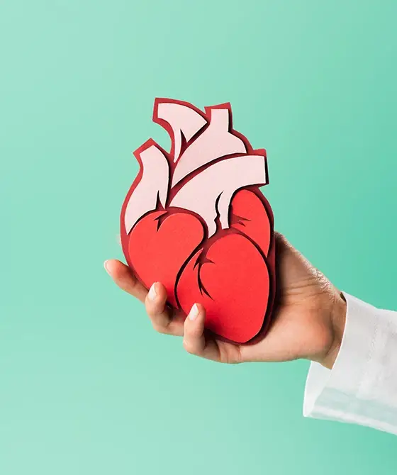 main sur fond bleu tenant un coeur en bois pour imager la toxicité cardio-vasculaire