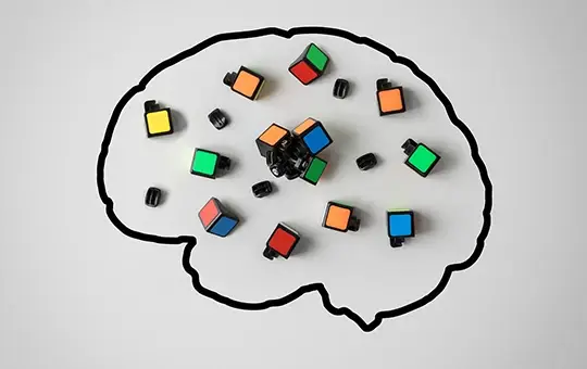 dessin schématique d'un cerveau avec cube en plastique colorés posés à l'intérieur