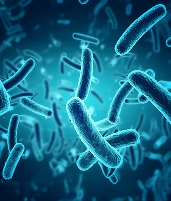 Bactéries du microbiote intestinal sur fond bleu pour les troubles nutritionnels